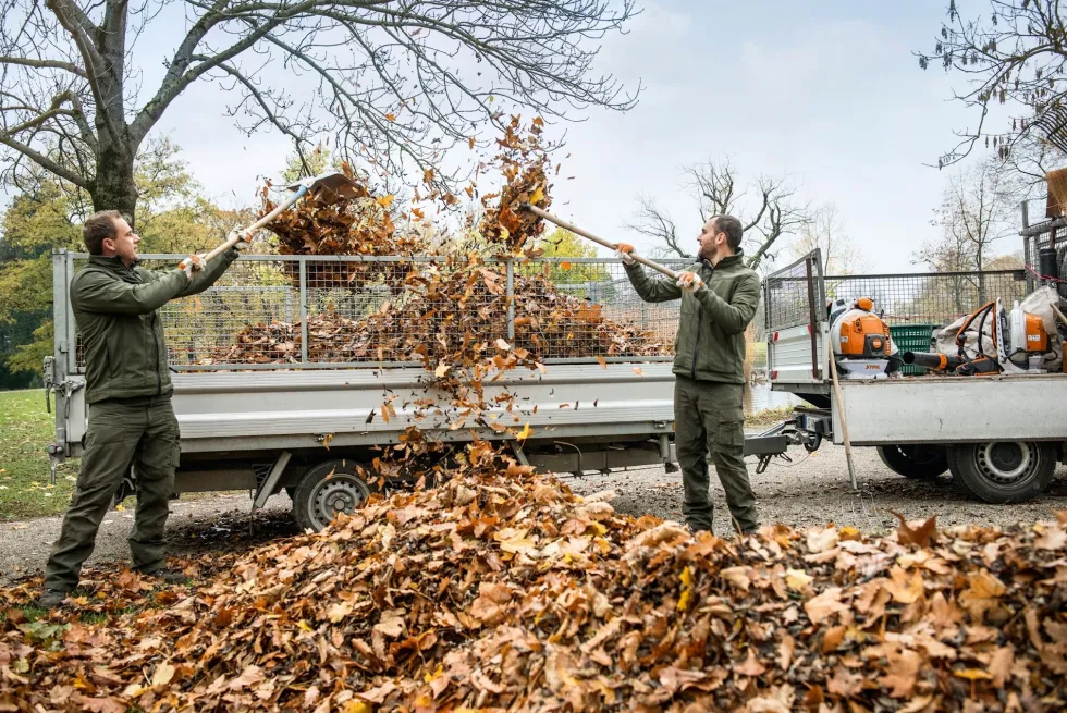 Stihl BR 800 C-E Lövblås med Bröstspänne och Styre