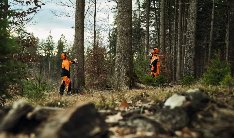 Stihl Dynamic DuroTEC Class 2 Midjebyxa