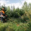 Stihl FS 490 C-EM KW Röjsåg