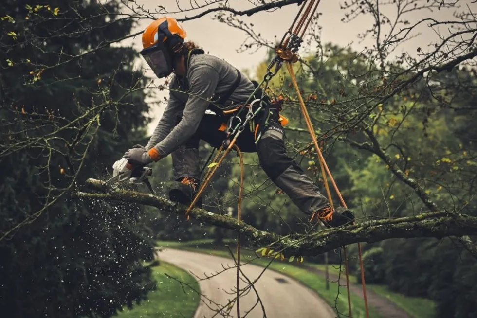 Stihl GTA 40 Batteridriven Grensåg