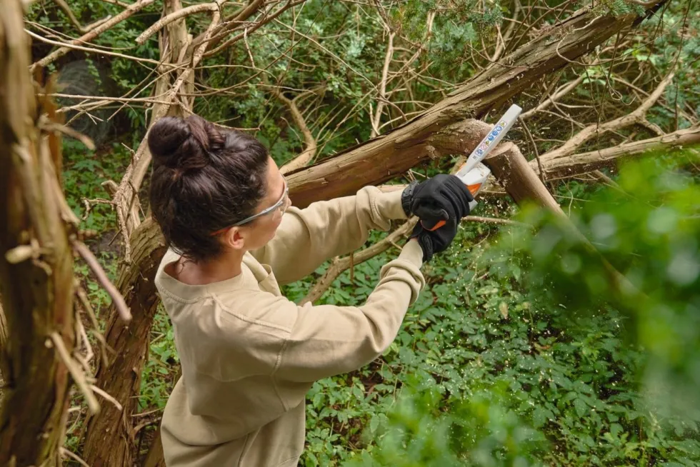 Stihl GTA 30 Grenkapspaket