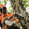 Stihl Hjälmpaket ADVANCE X-Climb Etsat Visir