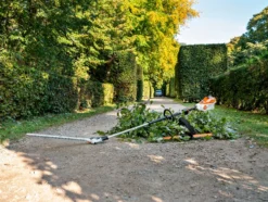 Stihl HLA 135 Stånghäcksax