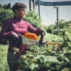 Stihl HSA 140 R Batterihäcksax