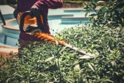 Stihl HSA 140 R Batterihäcksax