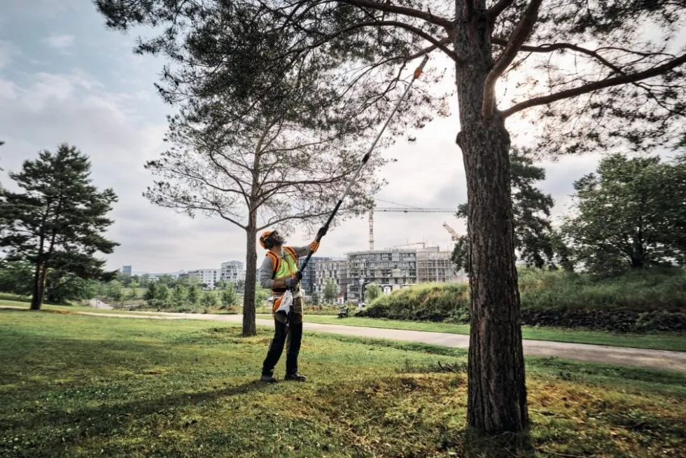 Stihl HTA 160 Batteridriven Stamkvistare