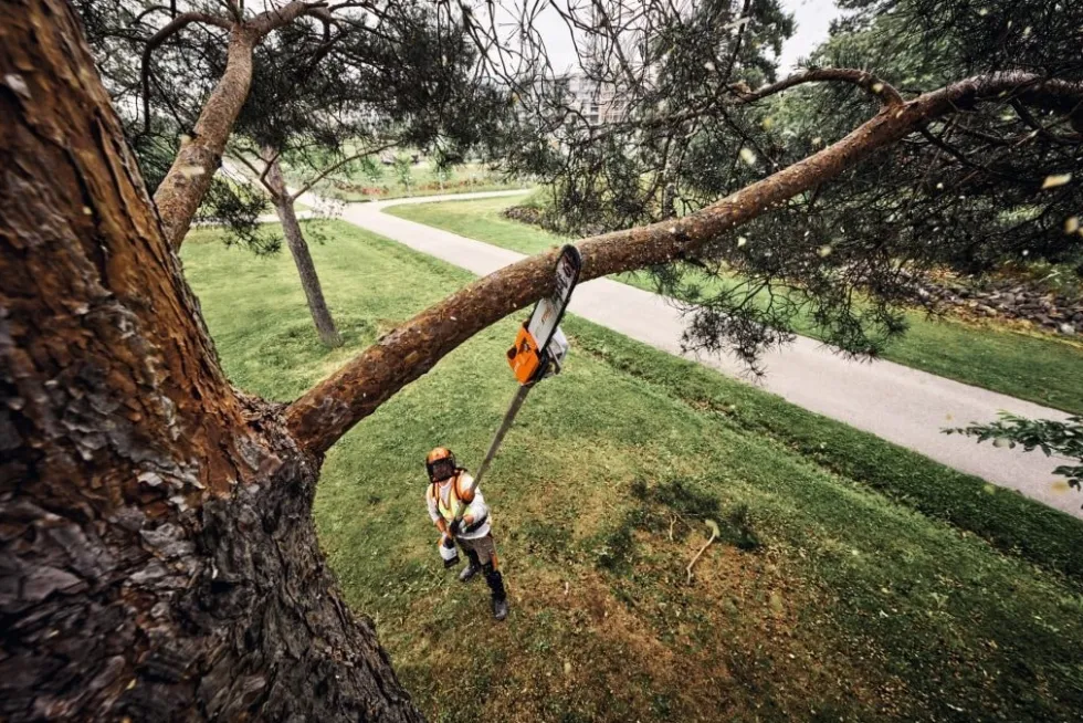 Stihl HTA 160 Batteridriven Stamkvistare
