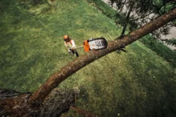 Stihl HTA 160 Batteridriven Stamkvistare