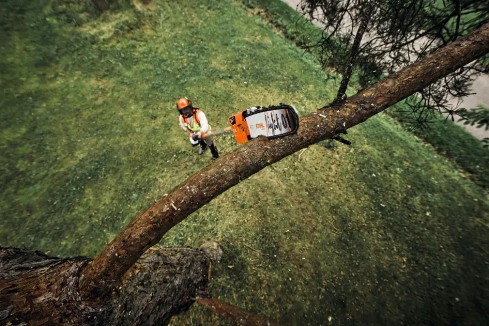 Stihl HTA 160 Batteridriven Stamkvistare