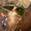 Stihl HTA 50 Stamkvistare Set