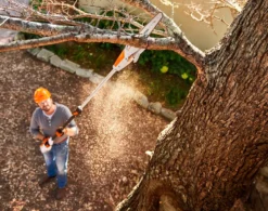 Stihl HTA 50 Stamkvistare Set