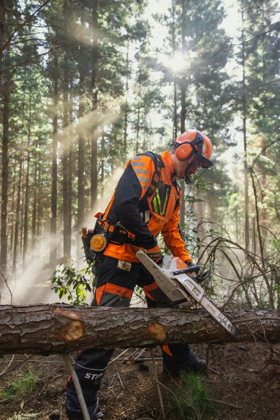 STIHL MSA 260 C-O W Batteridriven motorsåg med handtagsvärme