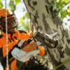 Stihl MSA 161 T Motorsåg