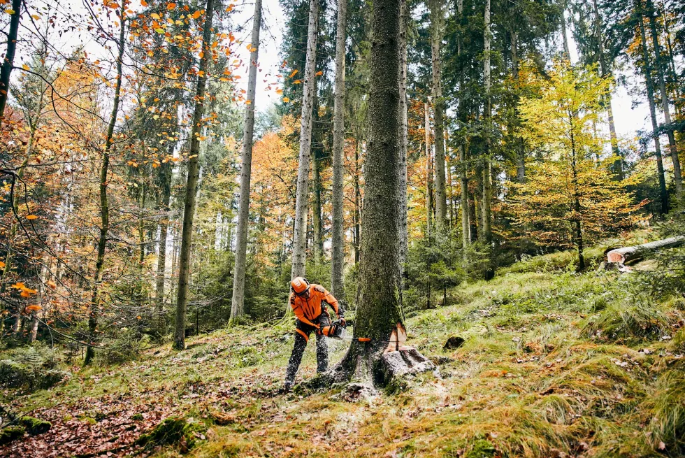 Stihl MS 261 C-M Motorsåg 14 tum / 35 cm