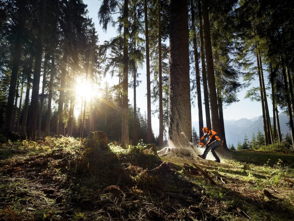 Stihl MS 661 C-M W Motorsåg