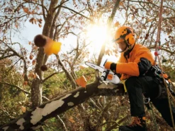 Stihl MS 151 TC-E Motorsåg