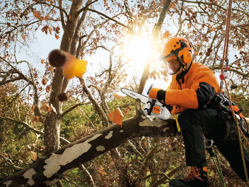 Stihl MS 151 TC-E Motorsåg
