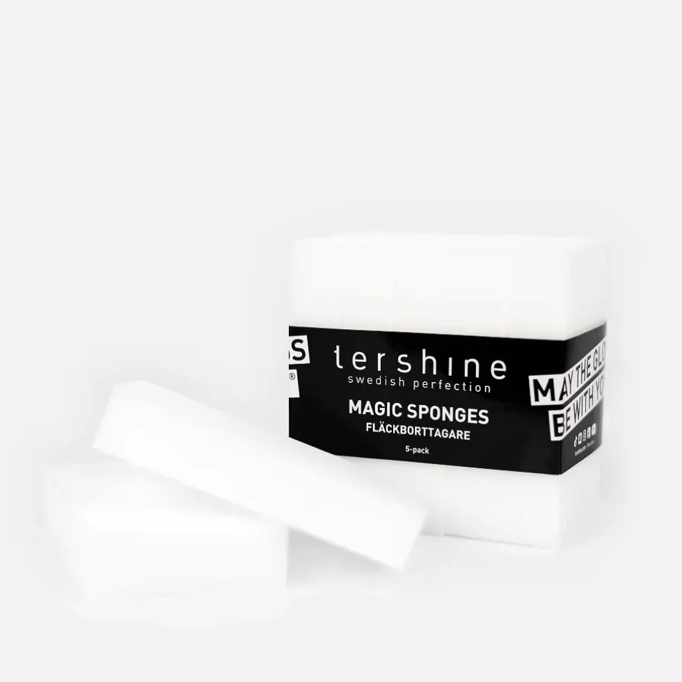 Tershine Fläckborttagningssvamp 5-pack