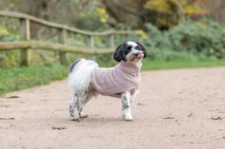 Trixie Norwood Pullover Blush