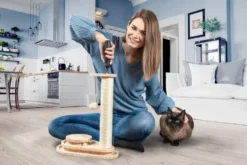 Wiha zai Hause Skruvmejsel 4V sladdlös, 11 delar