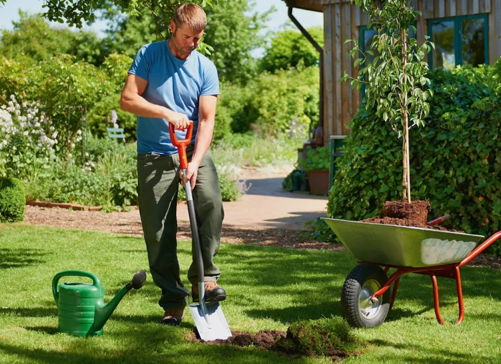 WOLF-Garten ASP-D Grävspade
