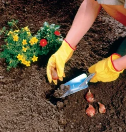 WOLF-Garten LU-Z Planteringsspade