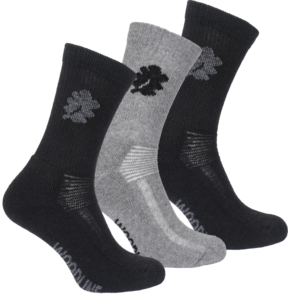 Woodline Socka Allround Merinoull 3-pack