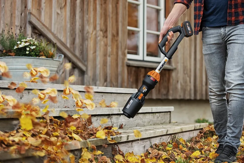 Worx WG543E 20V 4Ah Lövblås
